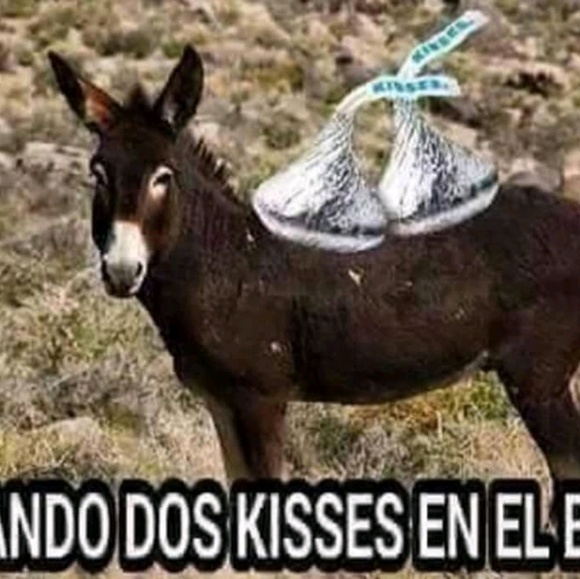 Meet your Posher, Rene - Picture 1 of 1